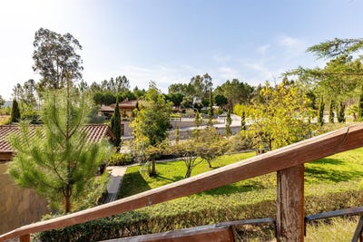 /international/pt/almagreira-leiria-310103391216/
