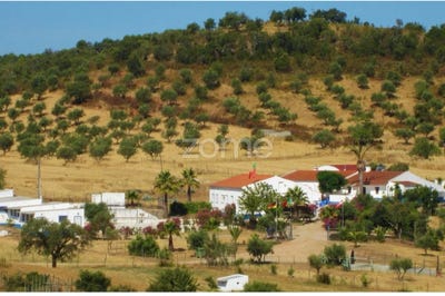 /international/pt/portel-santarem-120090379917/?lang=zh-tw