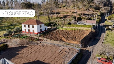 /international/pt/faja-da-ovelha-madeira-310107644037/