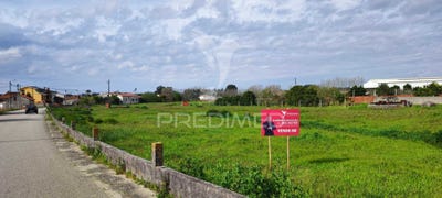 /international/pt/calvao-vagos-aveiro-120090934877/