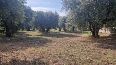 /international/pt/rua-do-arneiro-redinha-leiria-310094920081/