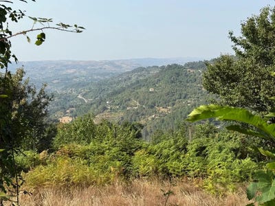 /international/pt/cinfaes-viseu-310106776722/