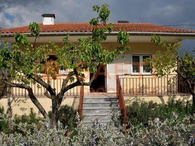 /international/pt/alijo-vila-real-120094503609/