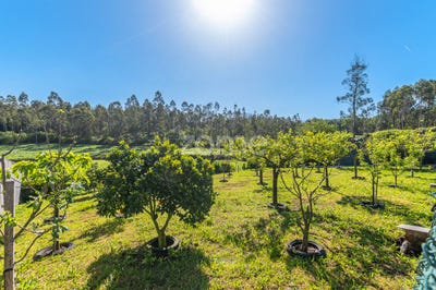 /international/pt/vila-do-conde-porto-310100277601/