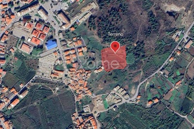 /international/pt/moimenta-da-beira-viseu-310100105256/