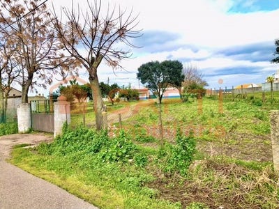 /international/pt/alpiarca-santarem-310100490131/