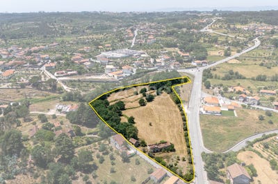 /international/pt/nelas-viseu-310108642486/
