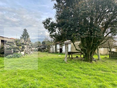 /international/pt/fontao-viana-do-castelo-310101078076/