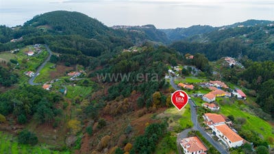 /international/pt/camacha-madeira-310107499540/