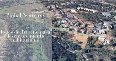 /international/pt/azeitao-sao-lourenco-e-sao-simao-setubal-municipality-310108249453/