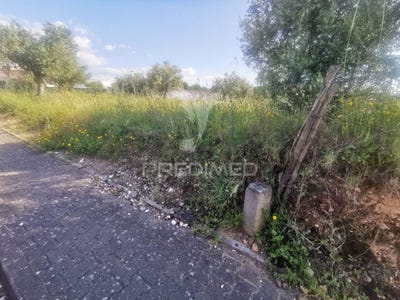 /international/pt/atalaia-vila-nova-da-barquinha-santarem-310100483553/