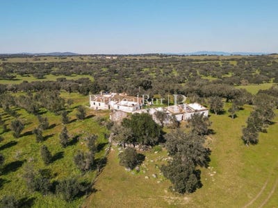 /international/pt/monforte-portalegre-310108652440/?lang=it