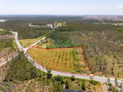 /international/pt/rua-das-lagoinhas-2430-marinha-grande-portugal-marinha-grande-leiria-310108372724/