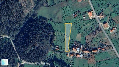 /international/pt/areias-e-pias-santarem-district-310101083904/?lang=zh-tw