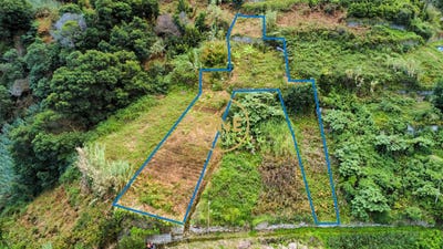 /international/pt/porto-da-cruz-madeira-310108158921/