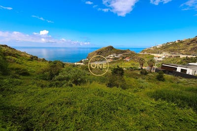 /international/pt/tabua-madeira-310108590759/