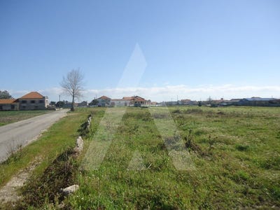 /international/pt/aradas-coimbra-310100274116/