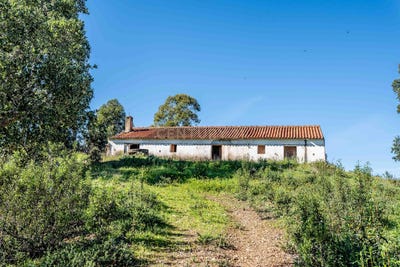 /international/pt/sao-marcos-da-serra-faro-310097524602/