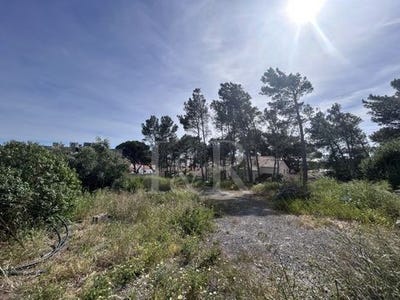 /international/pt/murches-cascais-lisbon-310107446822/