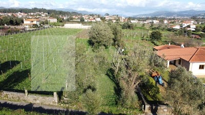 /international/pt/fontao-viana-do-castelo-310101080622/?lang=zh-tw
