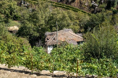 /international/pt/lamego-porto-310105338579/