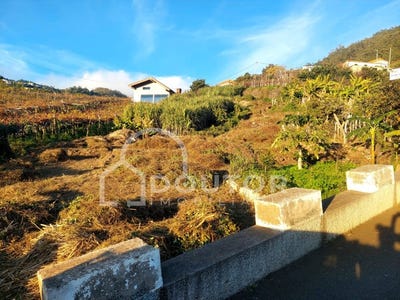 /international/pt/campanario-madeira-310100991422/