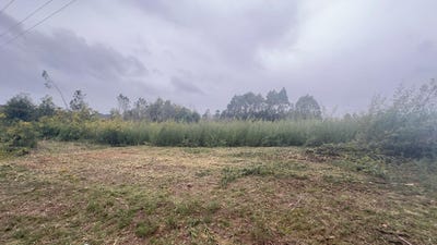 /international/pt/viseu-viseu-310108525019/
