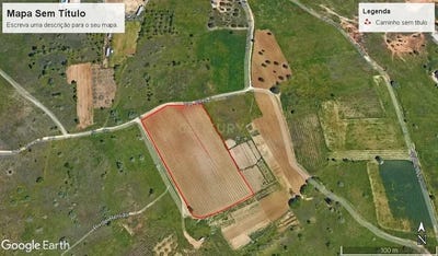/international/pt/relvas-alcantarilha-faro-310105185234/
