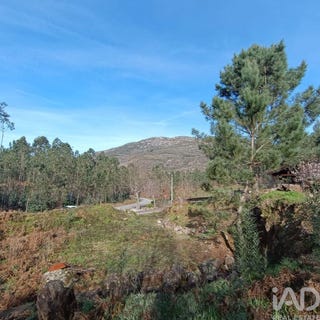 /international/pt/viana-do-castelo-viana-do-castelo-310106165553/