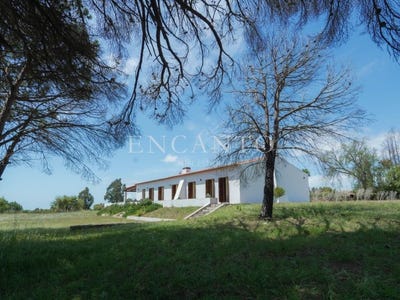 /international/pt/sao-teotonio-beja-310100829586/?lang=zh-cn