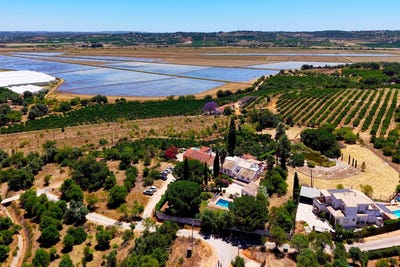 /international/pt/silves-faro-310108973928/?lang=de