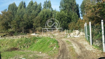 /international/pt/fafe-braga-310105540558/