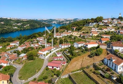 /international/pt/jovim-porto-310108864553/