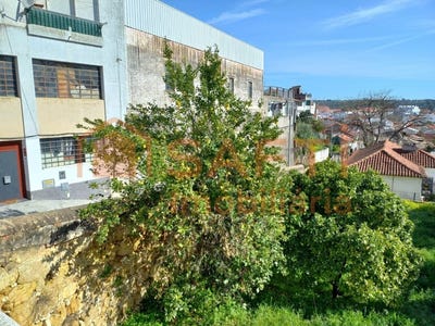 /international/pt/torres-novas-santa-maria-salvador-e-santiago-santarem-310106235273/