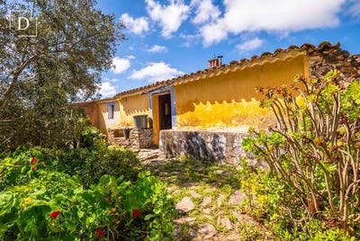 /international/pt/silves-faro-310100860005/?lang=fr