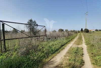 /international/pt/romeira-santarem-santarem-120082622808/