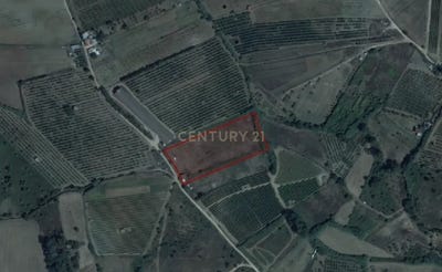 /international/pt/r-da-portela-18-2565-freiria-portugal-freiria-lisbon-310105104158/