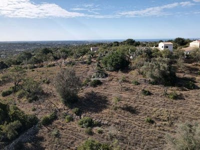 /international/pt/loule-faro-120086451896/