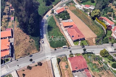 /international/pt/espinho-castelo-branco-310106105691/?lang=th