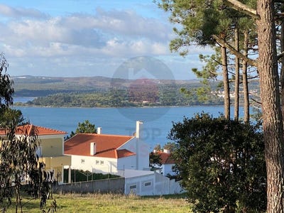 /international/pt/nadadouro-leiria-310108997301/