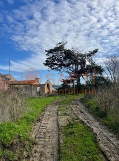 /international/pt/uniao-freguesias-santa-maria-lisbon-310104277475/