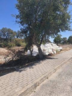 /international/pt/foros-da-catrapona-parque-industrial-seixal-seixal-setubal-municipality-310105187662/