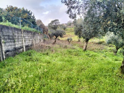 /international/pt/rua-das-lameiras-ferreira-do-zezere-santarem-310094786696/