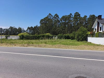 /international/pt/terroso-portugal-aver-o-mar-porto-310107900235/