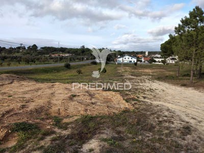 /international/pt/melides-grandola-setubal-municipality-310103798486/
