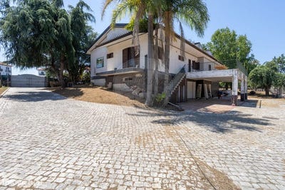 /international/pt/agueda-e-borralha-aveiro-district-310101512555/