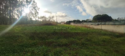 /international/pt/rua-do-olheirao-moita-marinha-grande-portugal-moita-aveiro-310104828205/