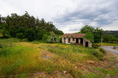 /international/pt/fafe-braga-310107701804/