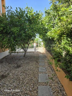 /international/pt/setubal-setubal-municipality-310108418695/