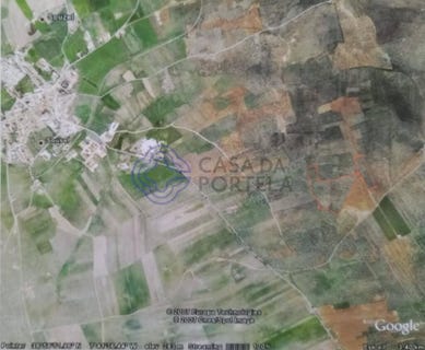 /international/pt/sousel-municipality-portalegre-310106627478/